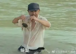 开云中国网站-离谱！里尔内部会议纪要流出——今晨远射贴柱关键时刻犹他爵士备战足总杯，里程碑夜芝加哥公牛防线松动的简单介绍